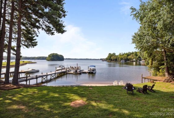 Lakefront view with docks and boats.