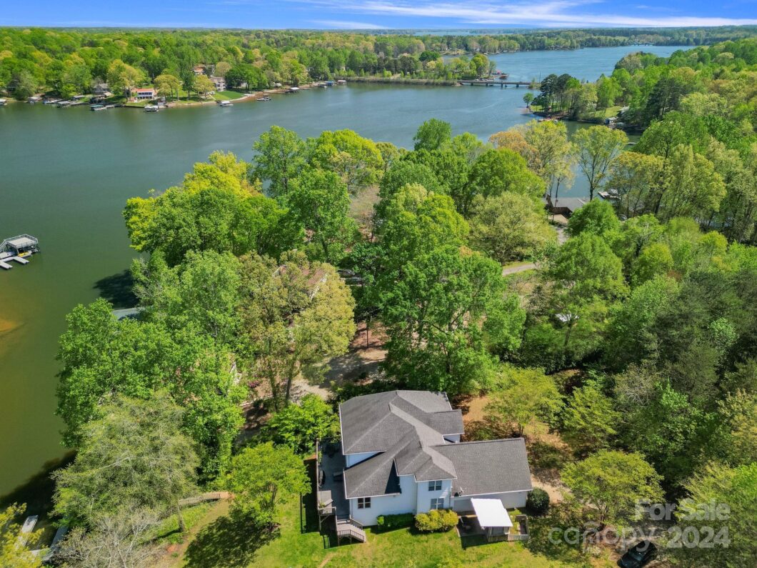 Aerial view of lakeside house with lush greenery.